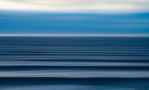 Aaron Chang Ocean Art Gallery business photo