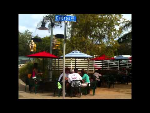 Solana Beach Local Brewery and Tavern Walk by Terra K.